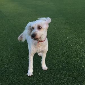 Meet your Posher, Maksymilian